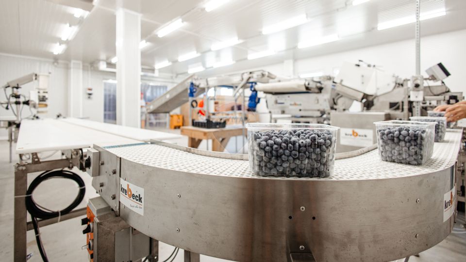 Land 27,720sqm Seini / Vest