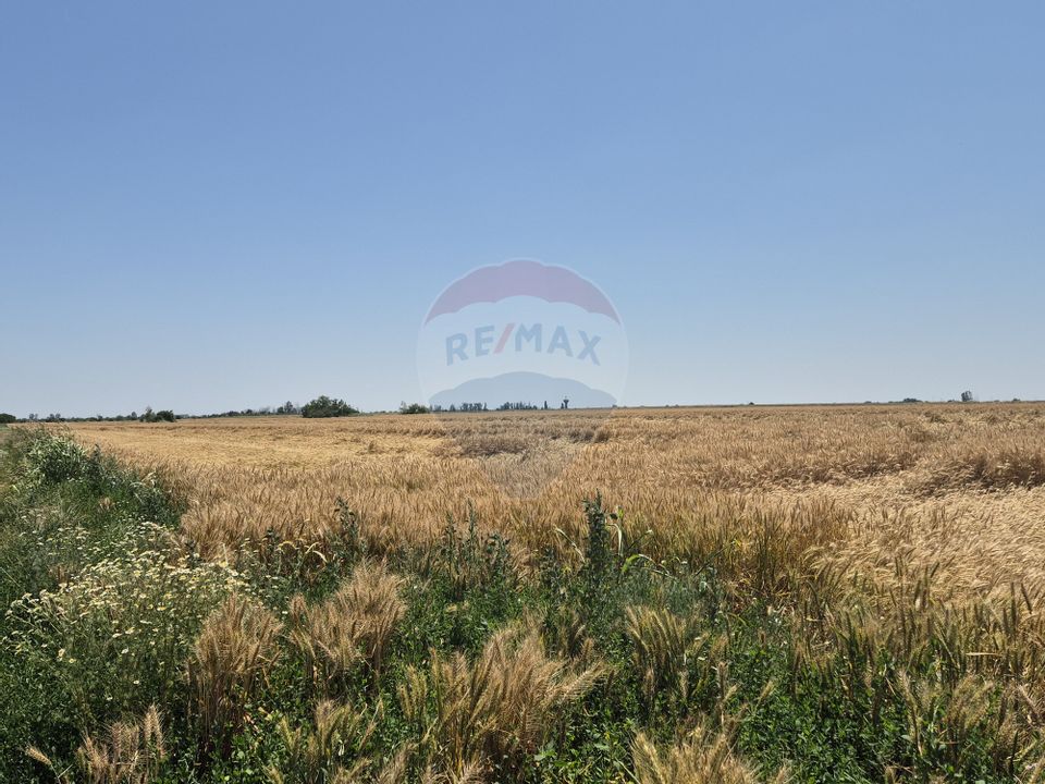 Land 20,921sqm Vidra / Strada Garii
