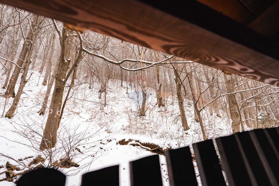 VILA “THE VARDO”, PREDELUT | 8 CAMERE DUBLE PREMIUM LANGA PADURE