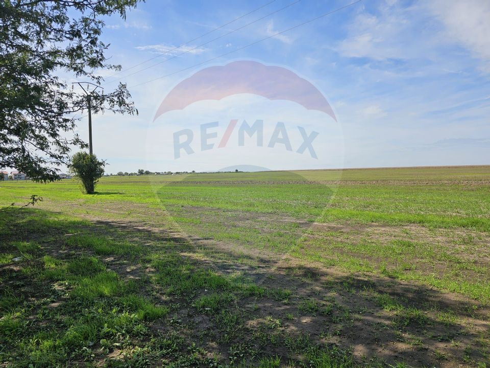 Land 7,400sqm Costinesti / Strada Varianta Costinesti