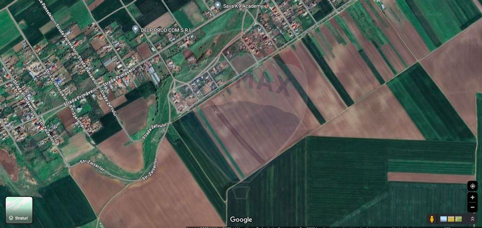 Construction land 5000 sqm in Plataresti / Calarasi