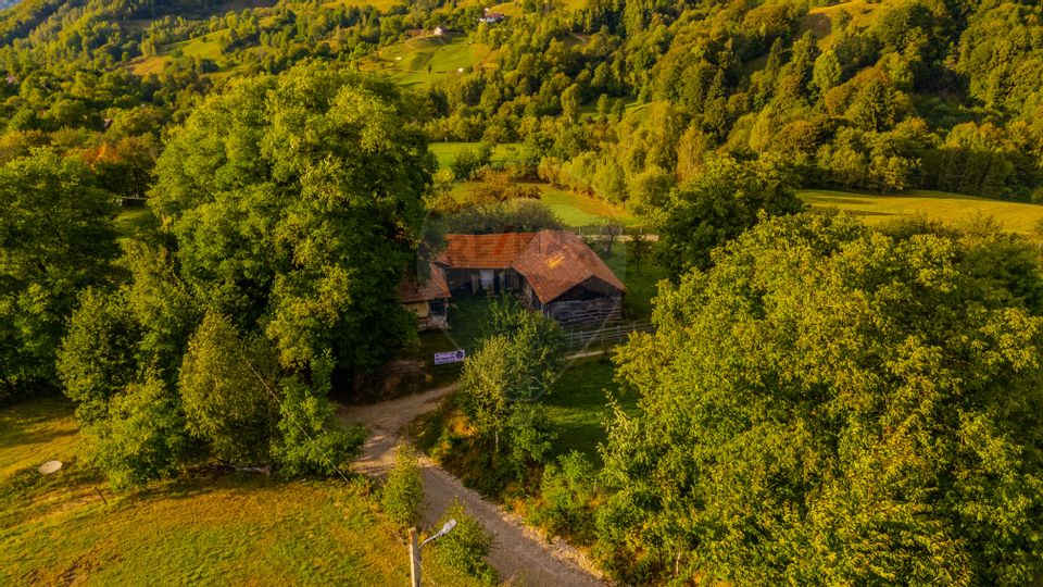 Land 3,000sqm Bran / Strada Clincea