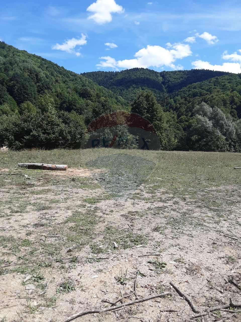 Land 1,340sqm Garcina / Strada Cuejdiului