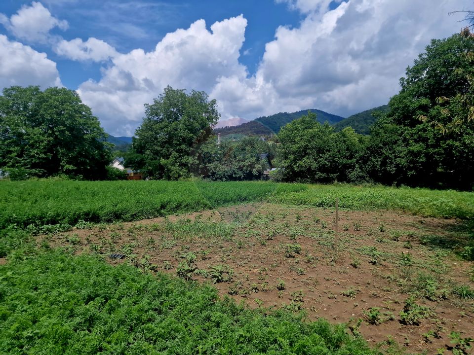 Teren intravilan 1000 mp – Viișoara, utilități