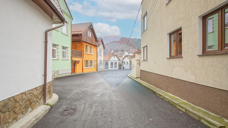 Casa cu 5 studiouri independente, terasa rooftop, vedere montana