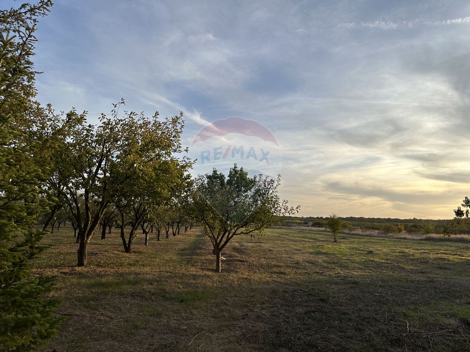 Proprietate speciala Dragomiresti Deal -Teren 15000 mp