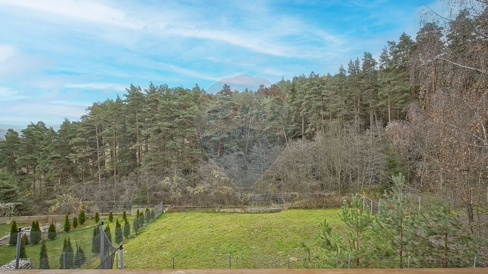 Vila moderna cu vedere spre padure Poiana Angelescu