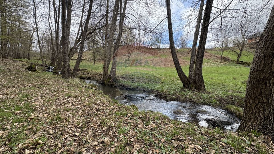 Teren de vanzare ideal pentru CABANA-cu un pârau ce traveseazǎ terenul