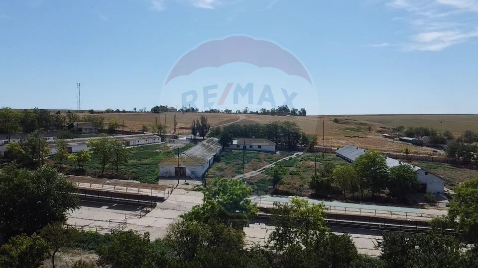 Land 96,998.5sqm Cobadin / Strada Conacu