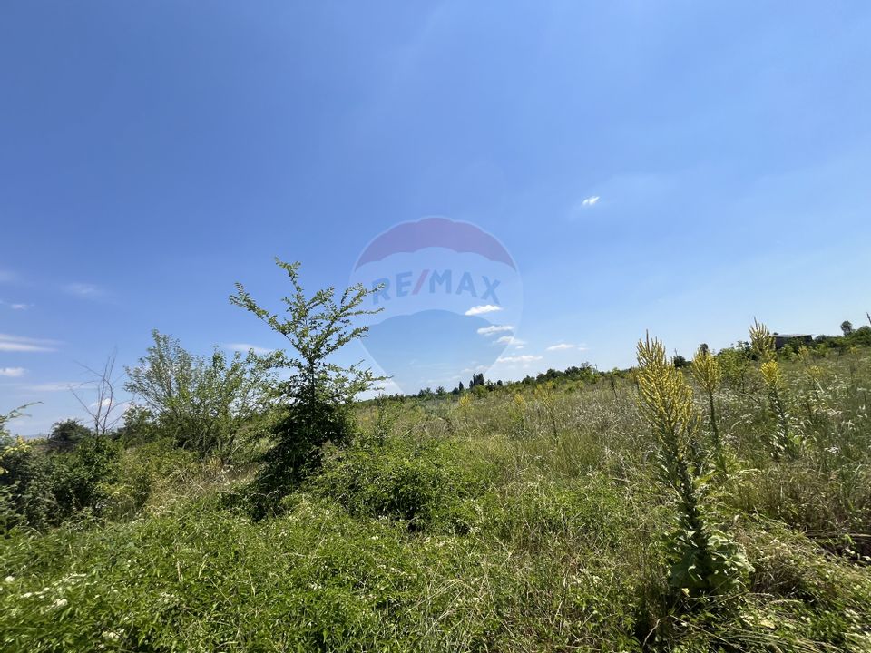 Land 15,700sqm Afumati / Strada Moara Domneasca