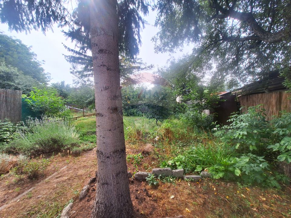 Casă cu grădină superbă – o oază verde în Sibiu