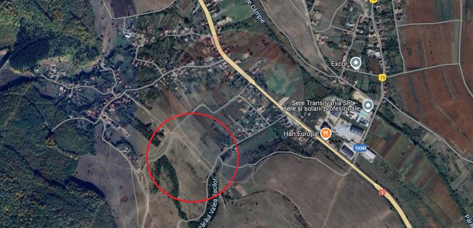 Teren de vanzare in Valcele,  3900 MP ! Comision 0%