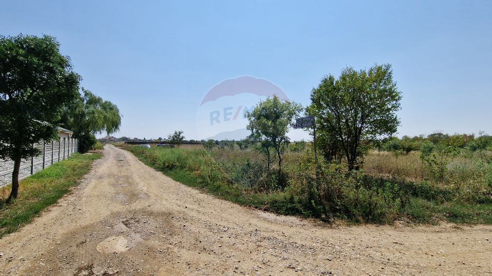 Teren intravilan 5,457mp Magurele / Pruni / Strada Padurii