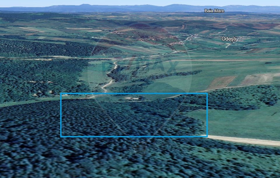 Pădure de vanzare cu zona de cabană Odesti