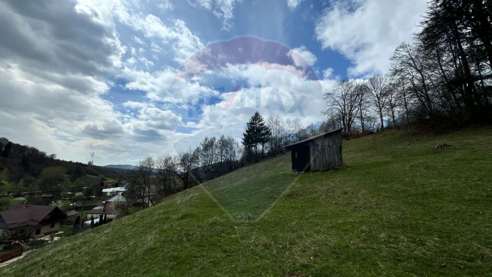 Teren generos, dar ieftin, in Nămăești - Argeș