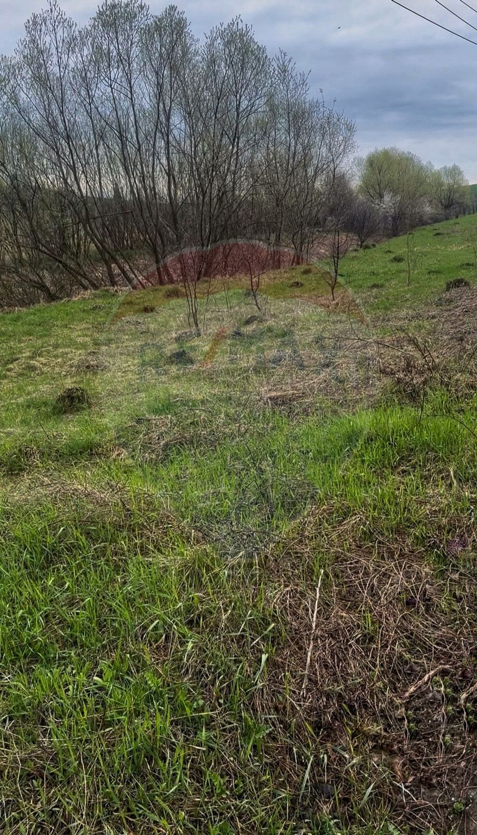 Teren 2,700mp Scheia / DJ 209C