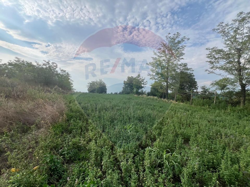 Land 3,888sqm Gologanu / Strada Margaretelor
