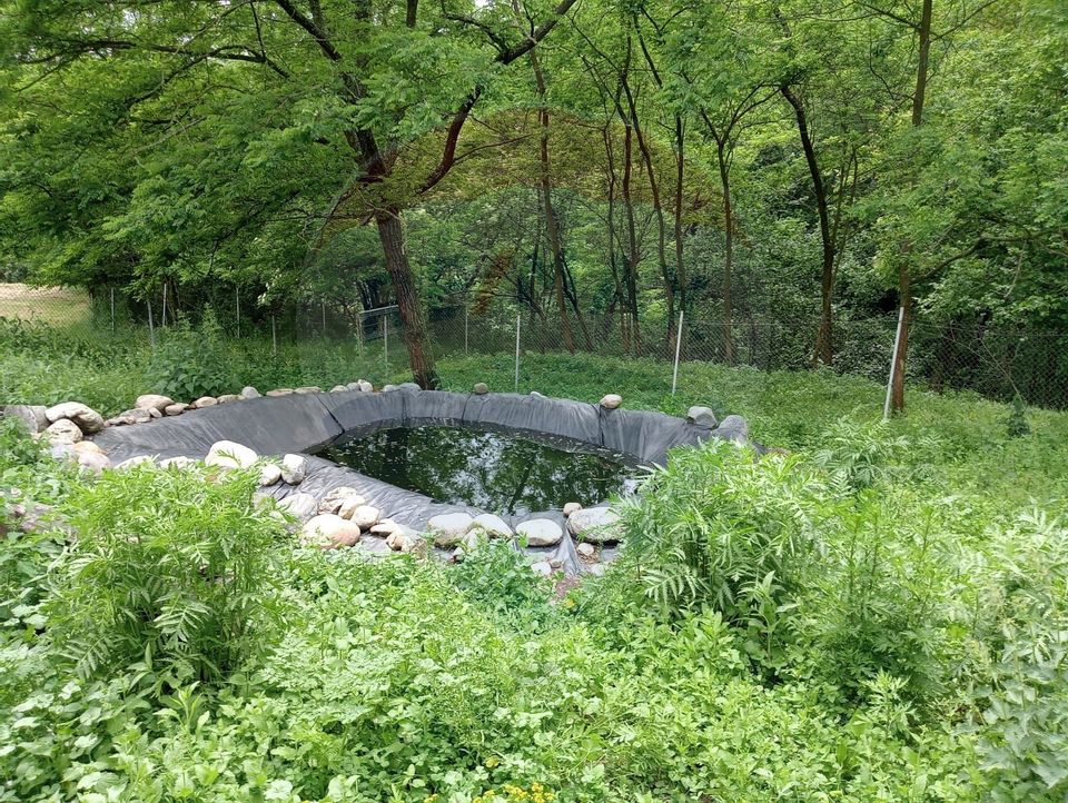 Vanzare casa  4 camere-microferma, cu panouri fotovoltaice