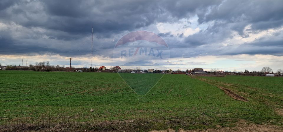 Land 11,000sqm Vladiceasca / Soseaua Vladiceasca