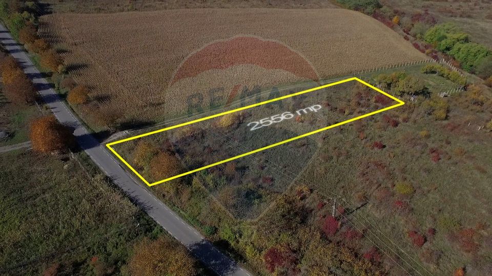 Land 2,556sqm Padureni (Chinteni) / Drumul DC147