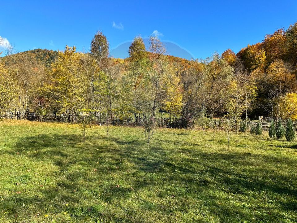 Land 1,350sqm Garcina / Strada Cuejdiului
