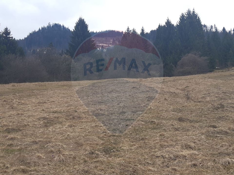 Teren Rasnov/ Soseaua Predealului DN73B