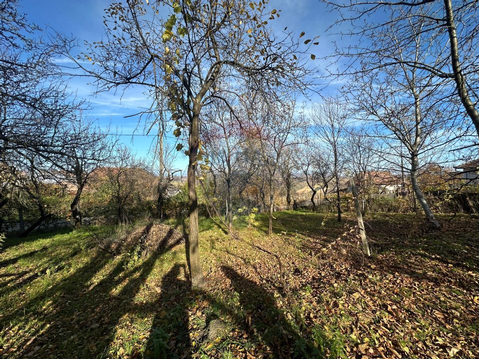 GOSPODARIE - liniste - natura - DE VANZARE