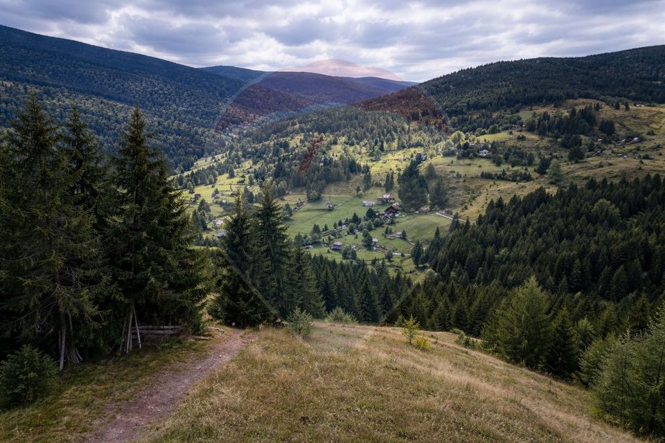 Land 6,500sqm Arieseni / Drumul Catunul Valea Galbenei