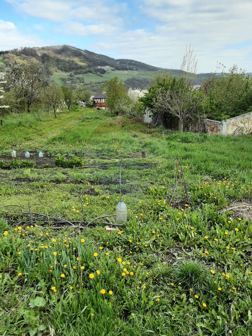 Teren 1,500mp Piatra-Neamt / Aleea Valea alba