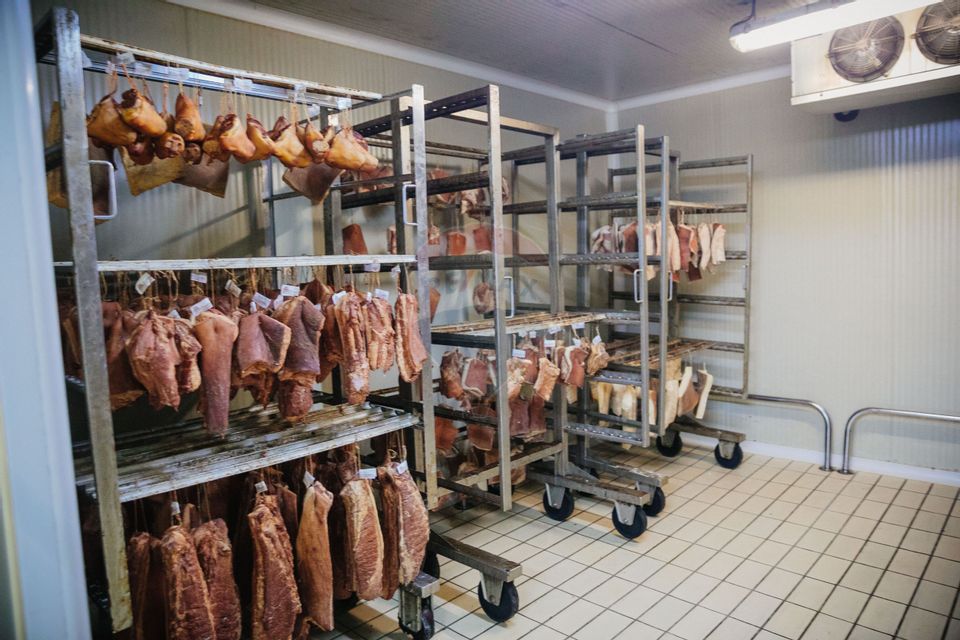 Spațiu industrial de 1,700mp de închiriat în zona Vasile Alecsandri