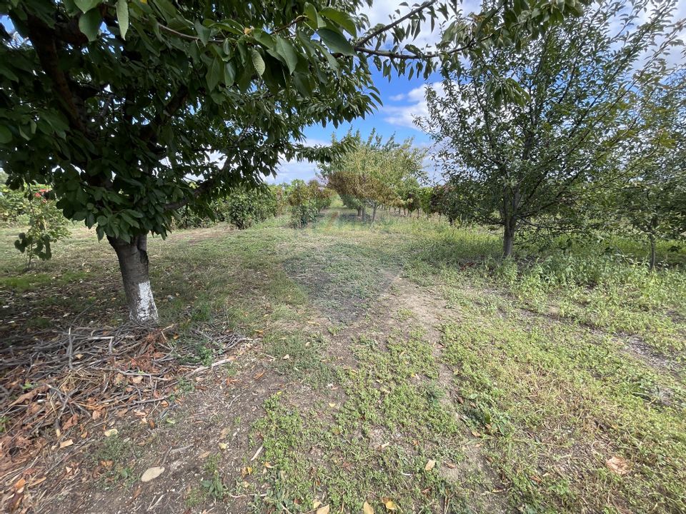 6 room House / Villa for sale