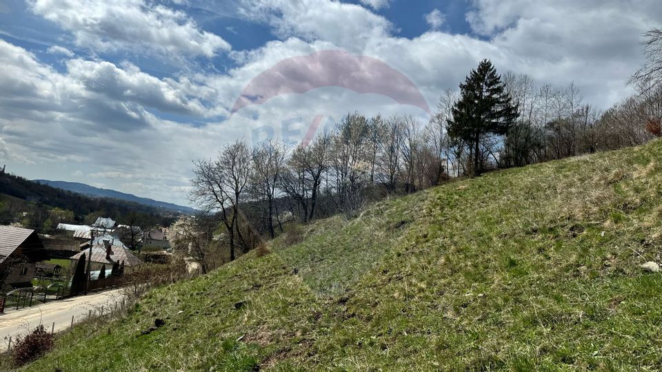 Teren generos, dar ieftin, in Nămăești - Argeș