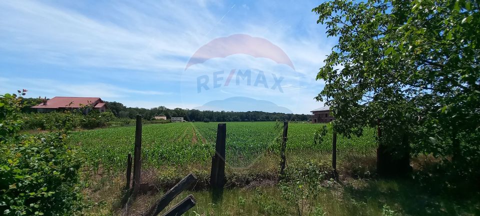 Land 4,370sqm Vladiceasca / Soseaua Vladiceasca