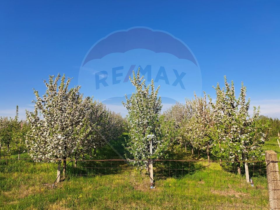 Vanzare teren Livada - Ferma Arges - Izbasesti / DN 142 langa Pitesti