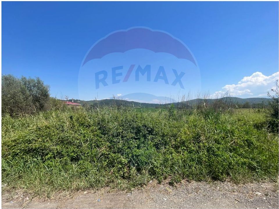 Land 24,000sqm Selimbar / DN Fara Nume