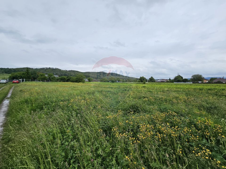Land 1,495sqm Dobreni / Strada Parau Almas