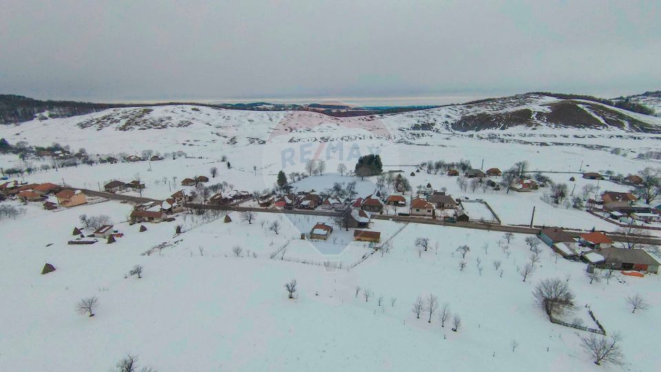 Casă cu 4 camere din cărămidă, de vânzare în zona Bratca-Damiș