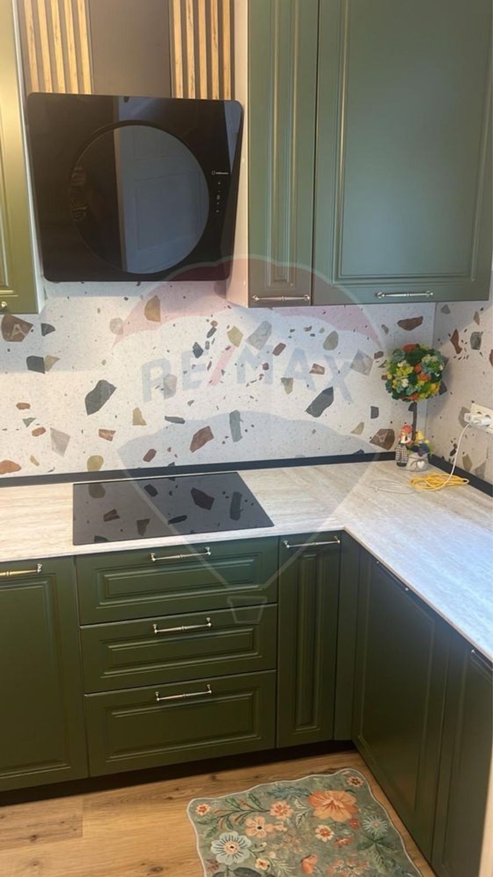 Casa individuala langa Colegiul National Dr. Ioan Mesota, Centru Civic