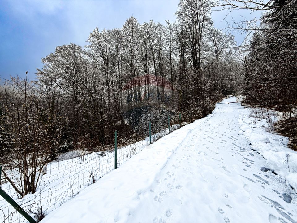 Teren 1,794mp Moroeni / Strada Lespezi