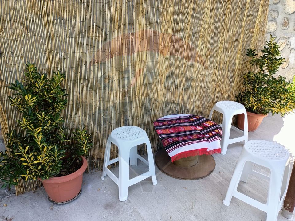 Vânzare casa la munte - zona turistica - Baia de Fier
