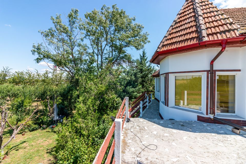 Casa+Laborator+ Teren 12.700 mp + casa de vacanta - Bolintin Vale