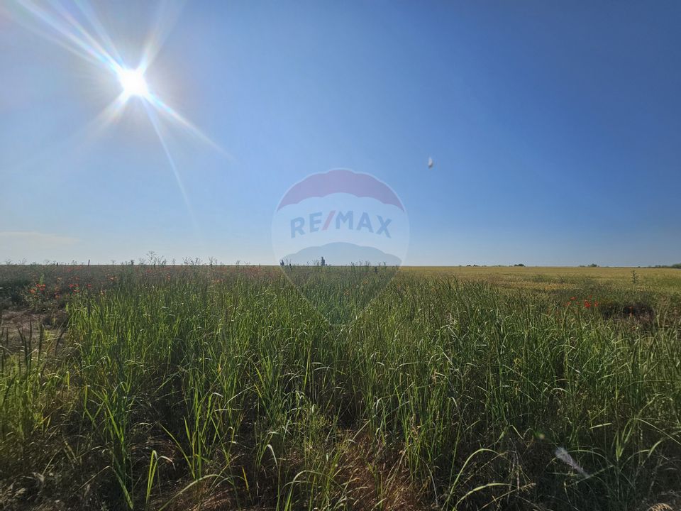 Teren de vanzare 1,070 mp Ovidiu / Academia Hagi