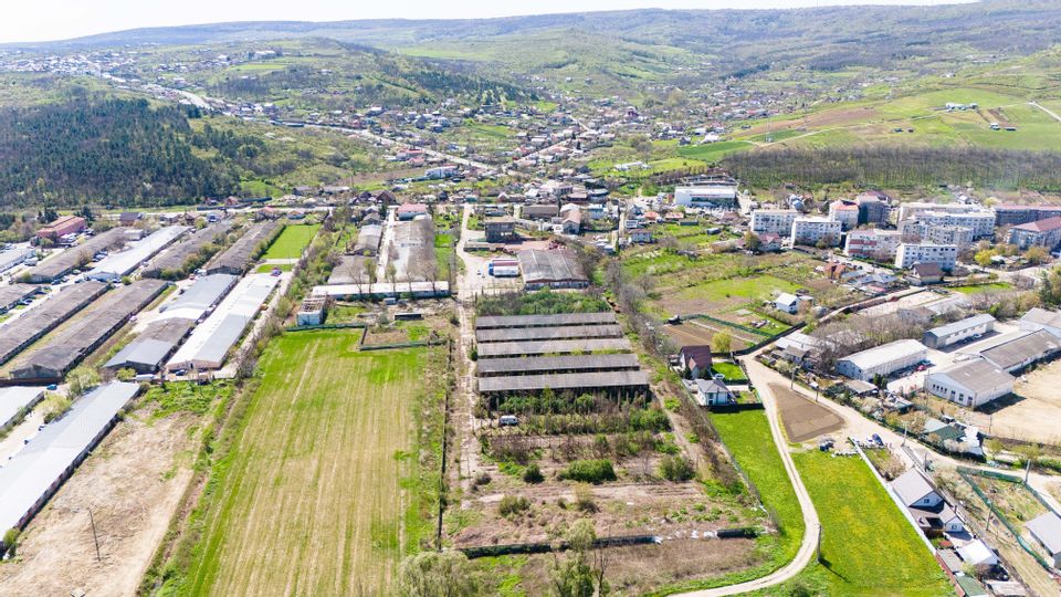 Teren Industrial 3Ha și Hală 1000mp de Vânzare în Tomesti - IAȘI