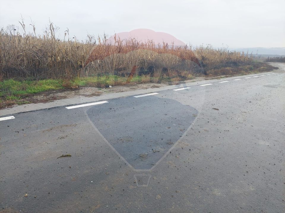 Teren intravilan de vanzare – Nicolae Balcescu, jud. Bacau