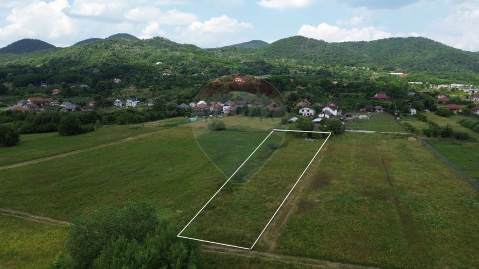 NOU - TEREN DE VANZARE - Cicarlau