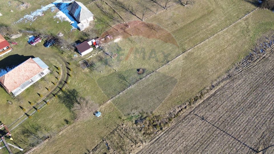 4000 mp teren intravilan de vânzare,în Berința