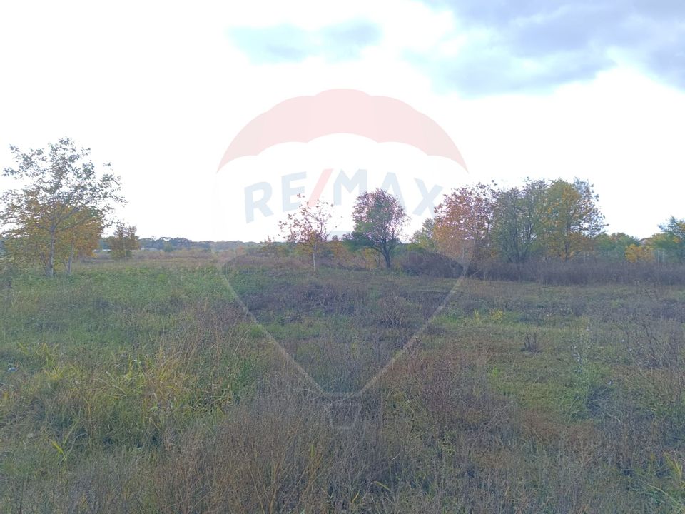 Teren 2,056mp Ciolpani