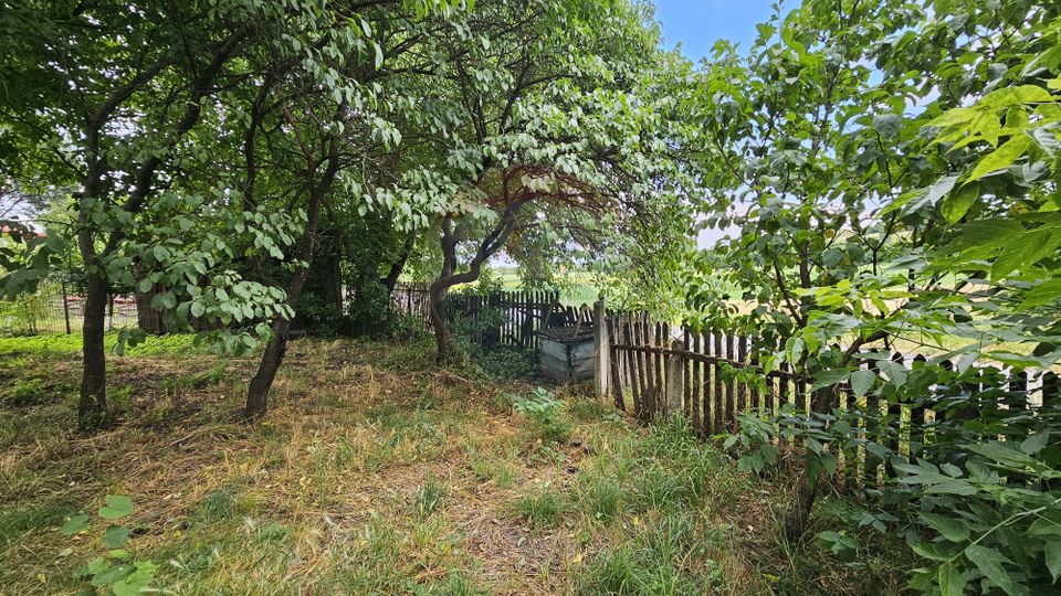 Casa  de vânzare cu teren 9200 mp, Pădureni-Șendriceni, Botoșani