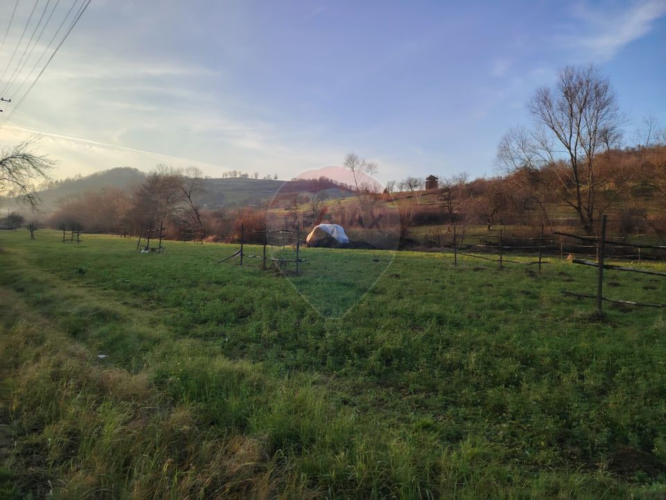 COMISION 0%  Teren intravilan de vanzare in Barsana (26 ARI)