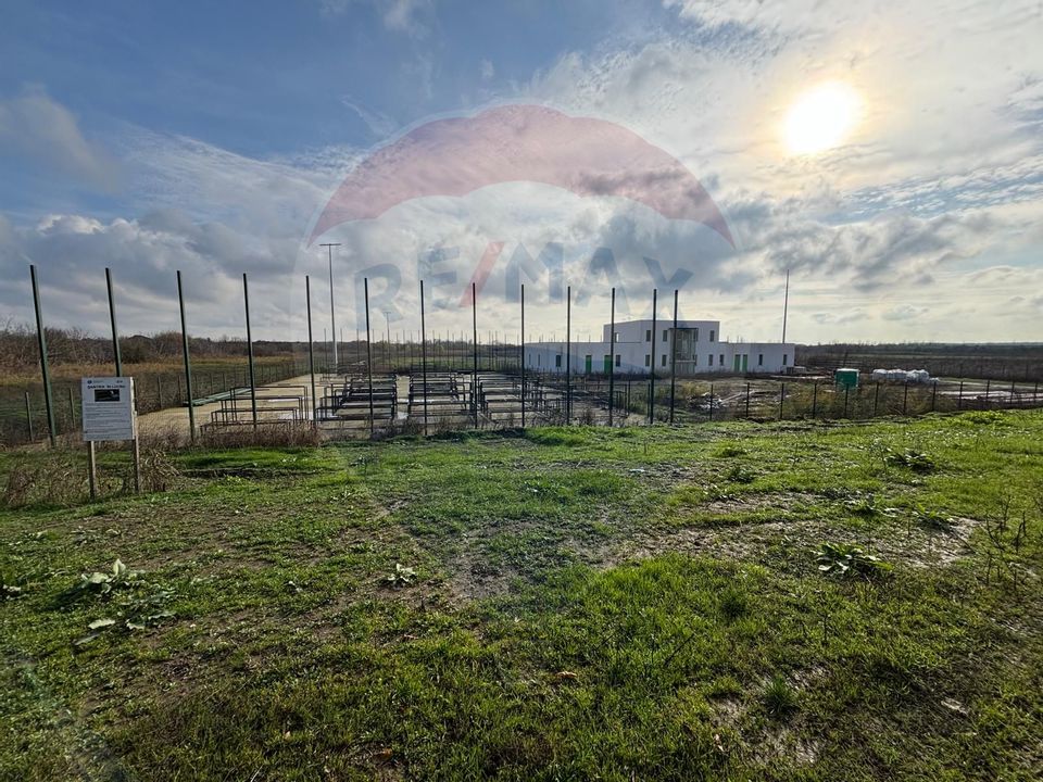 Teren 7094 mp Buftea poziție excelentă vizavi de parc, acces asfaltat